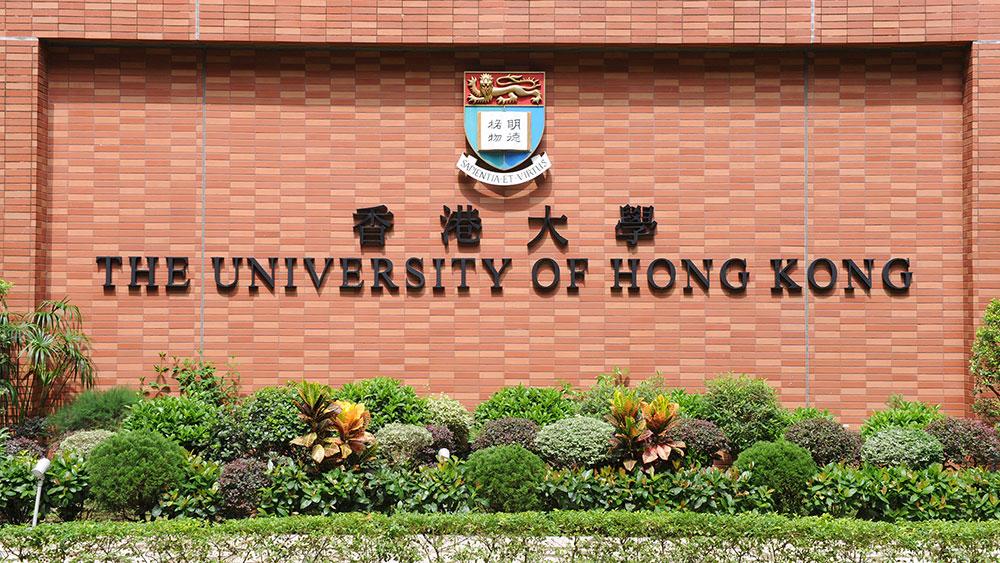 沪港深度联动，香港大学 Delta 科技菁英