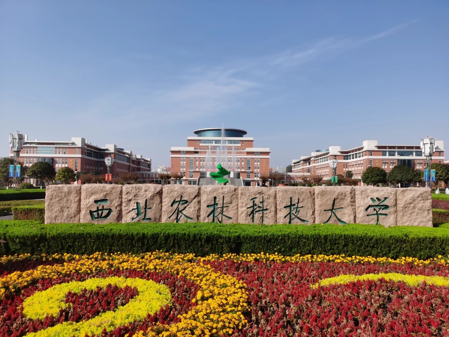 西北农林科技大学2026年强基计划招生简章：