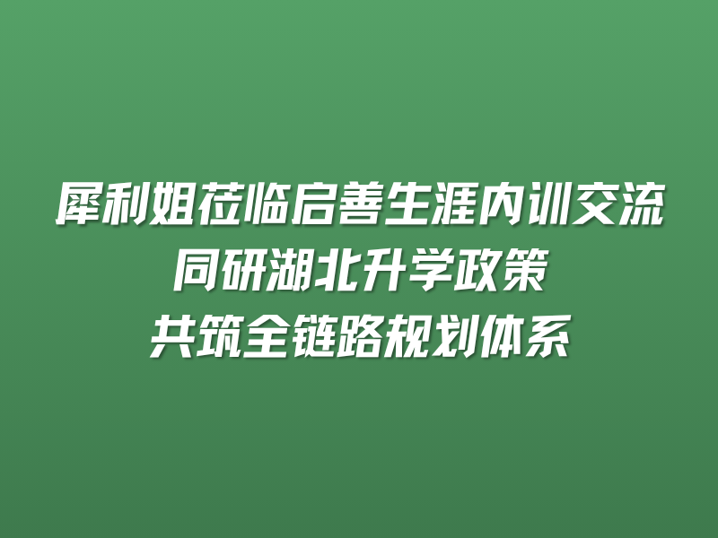 犀利姐莅临启善生涯内训交流｜同研湖北升学政策，共筑全链路规划
